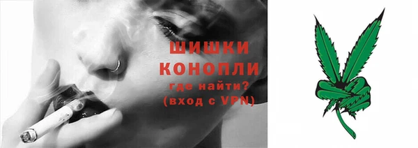 шишки Баксан