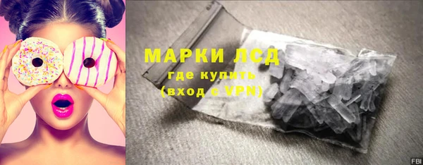 шишки Баксан