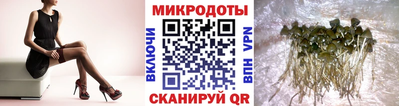 Галлюциногенные грибы Psilocybine cubensis  blacksprut онион  Нерюнгри 